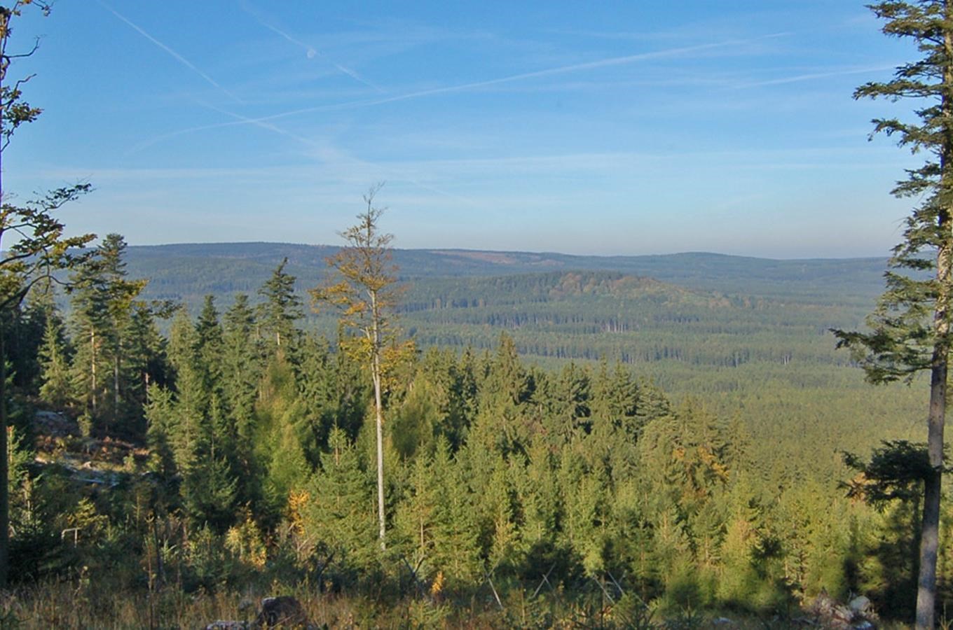 Vrch Třemošná a skála Kazatelna ve středních Brdech